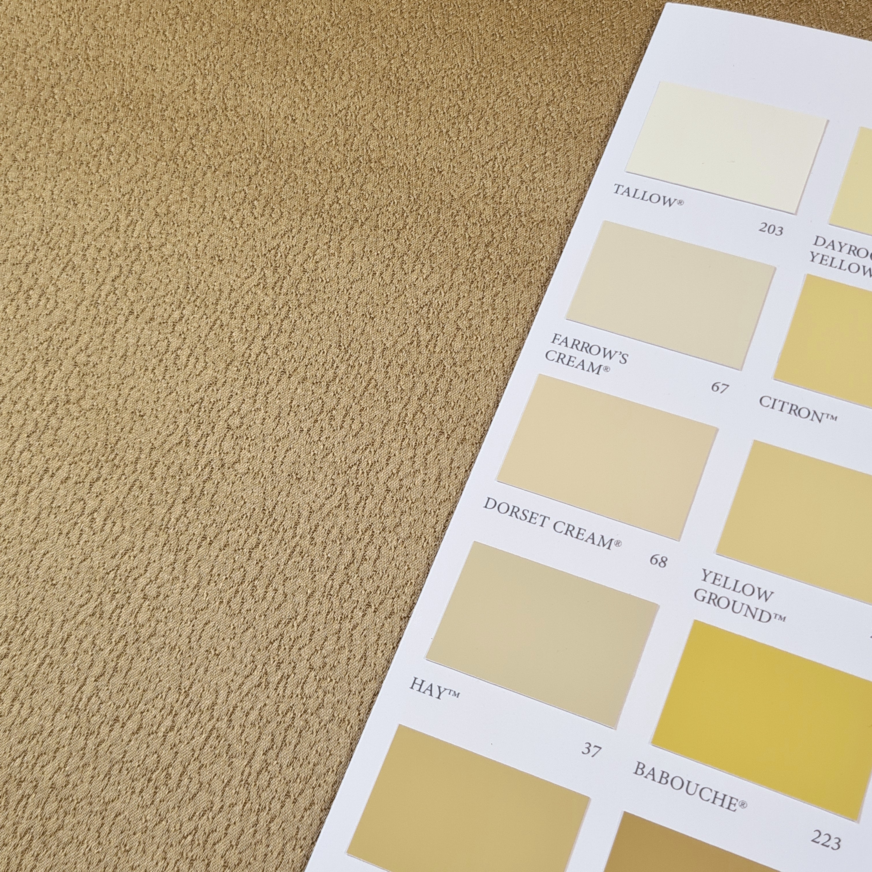 El Rey Stucco Color Chart Doodle Menusjabloon, Grillige Menukaart,