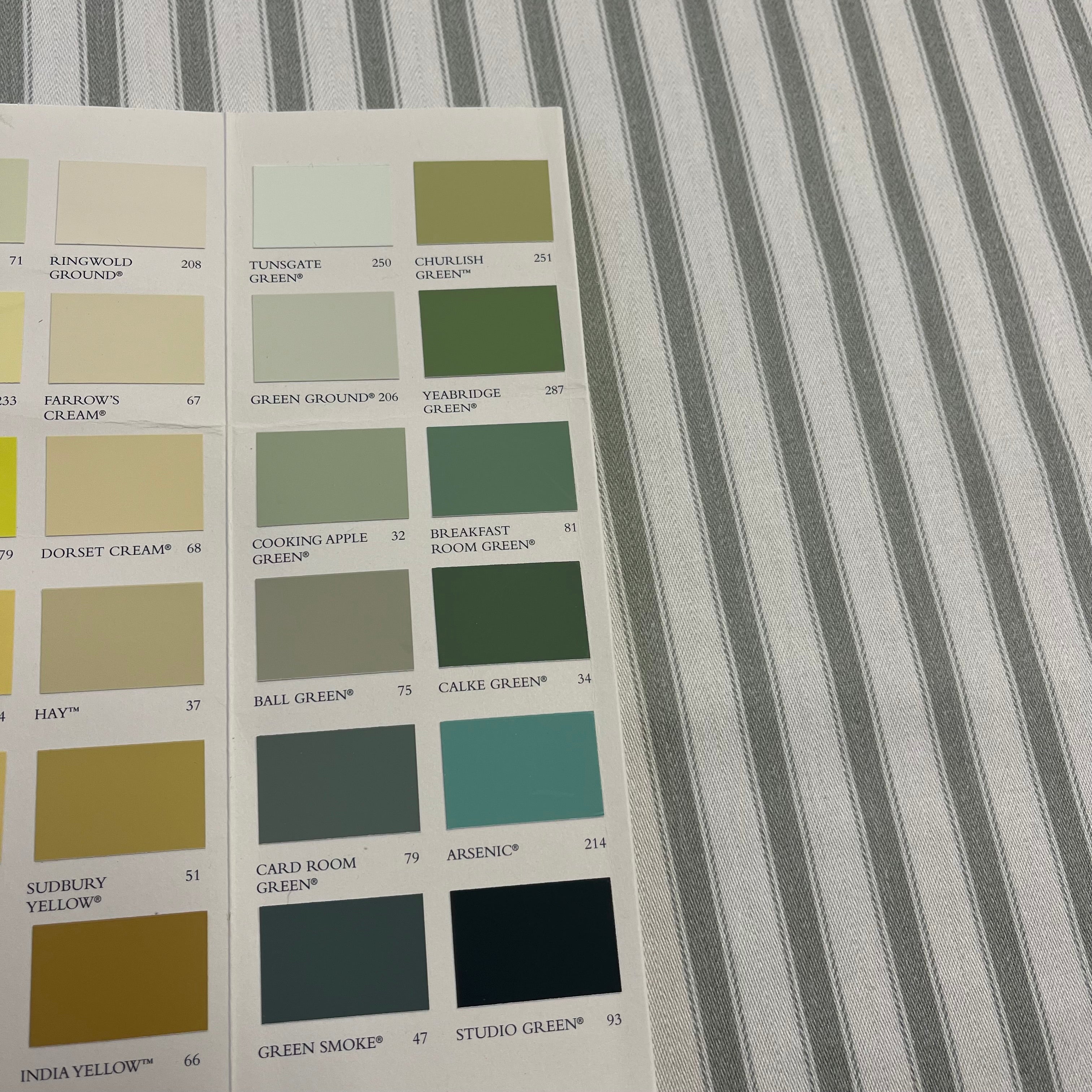 Printed Green Stripe