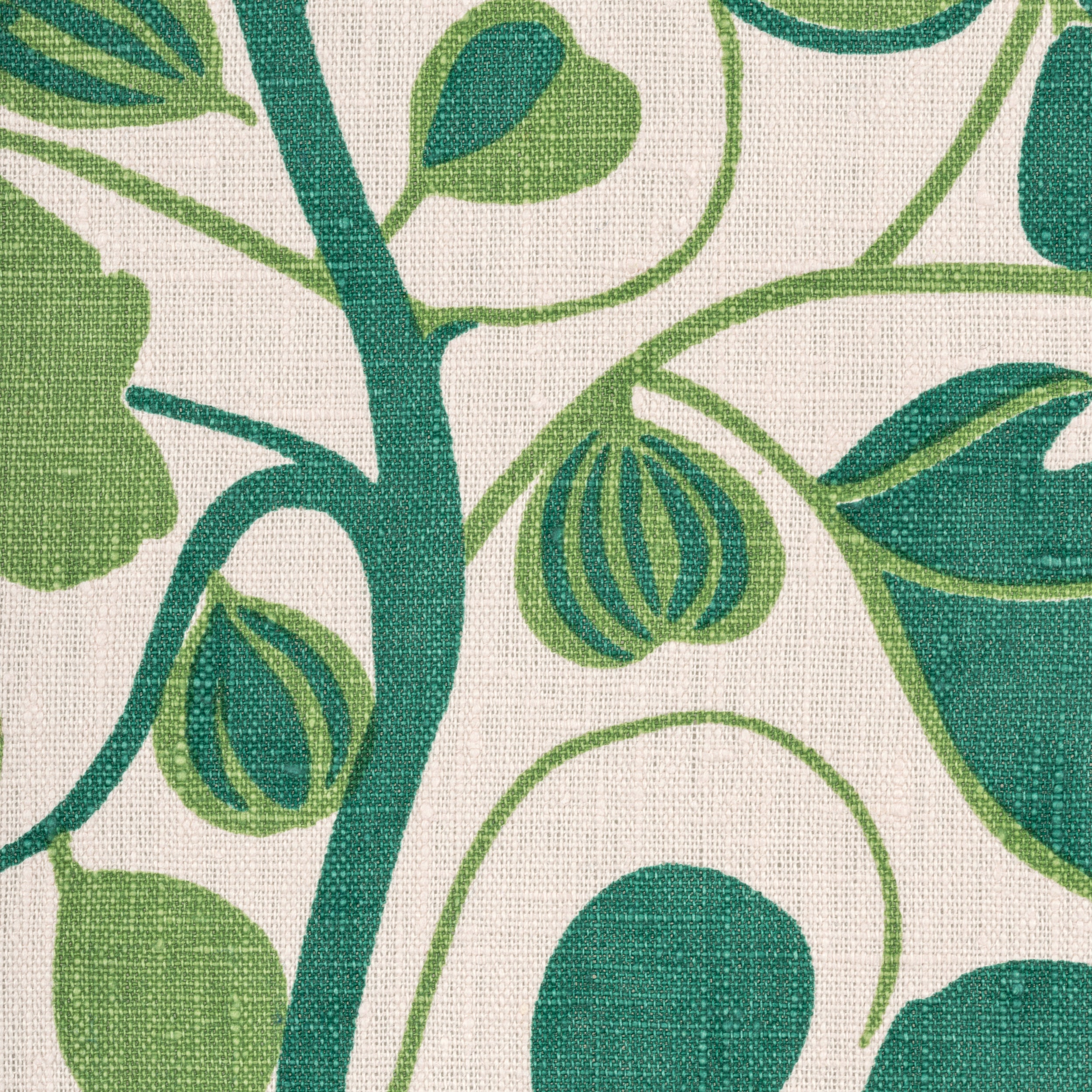 Jessie de Salis, Figs Cushion