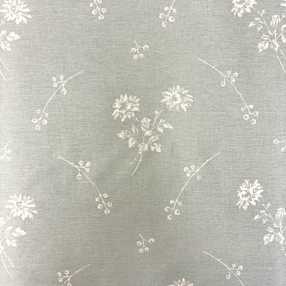 Vanessa Arbuthnott