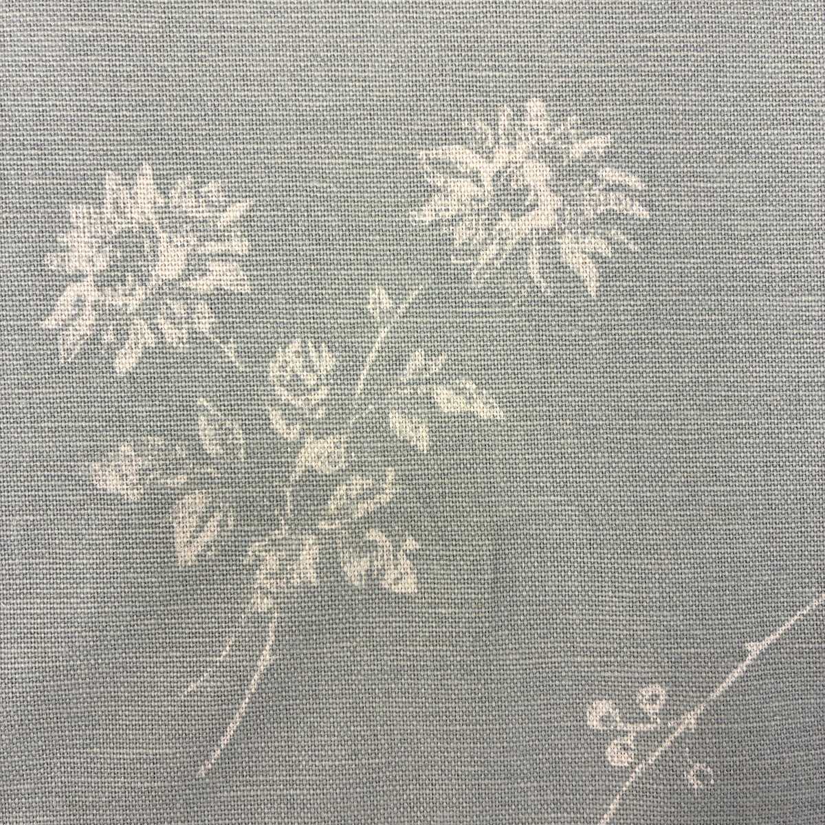Vanessa Arbuthnott