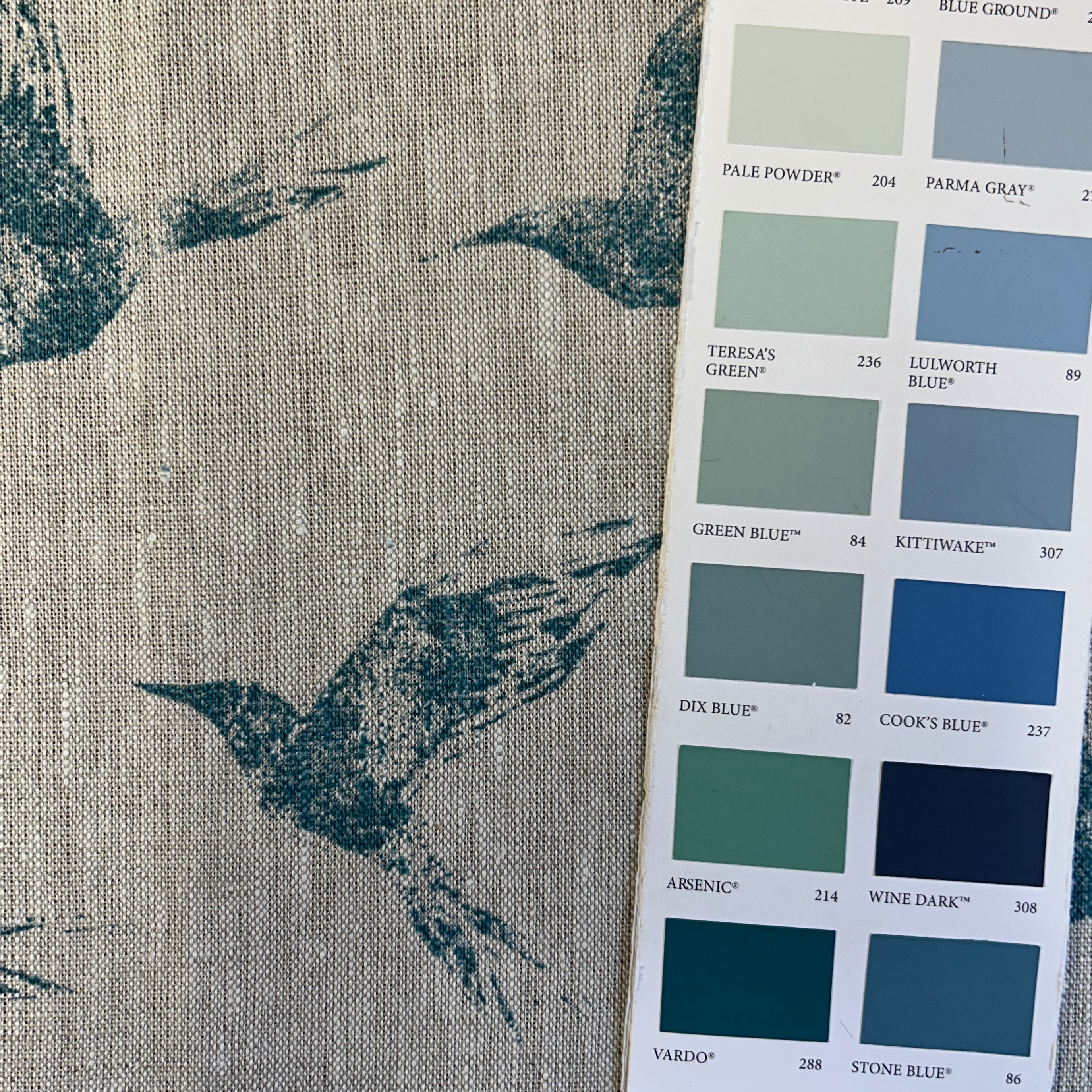 Zoe Glencross, Bollin Bird - Haines Collection - Fabric – Haines