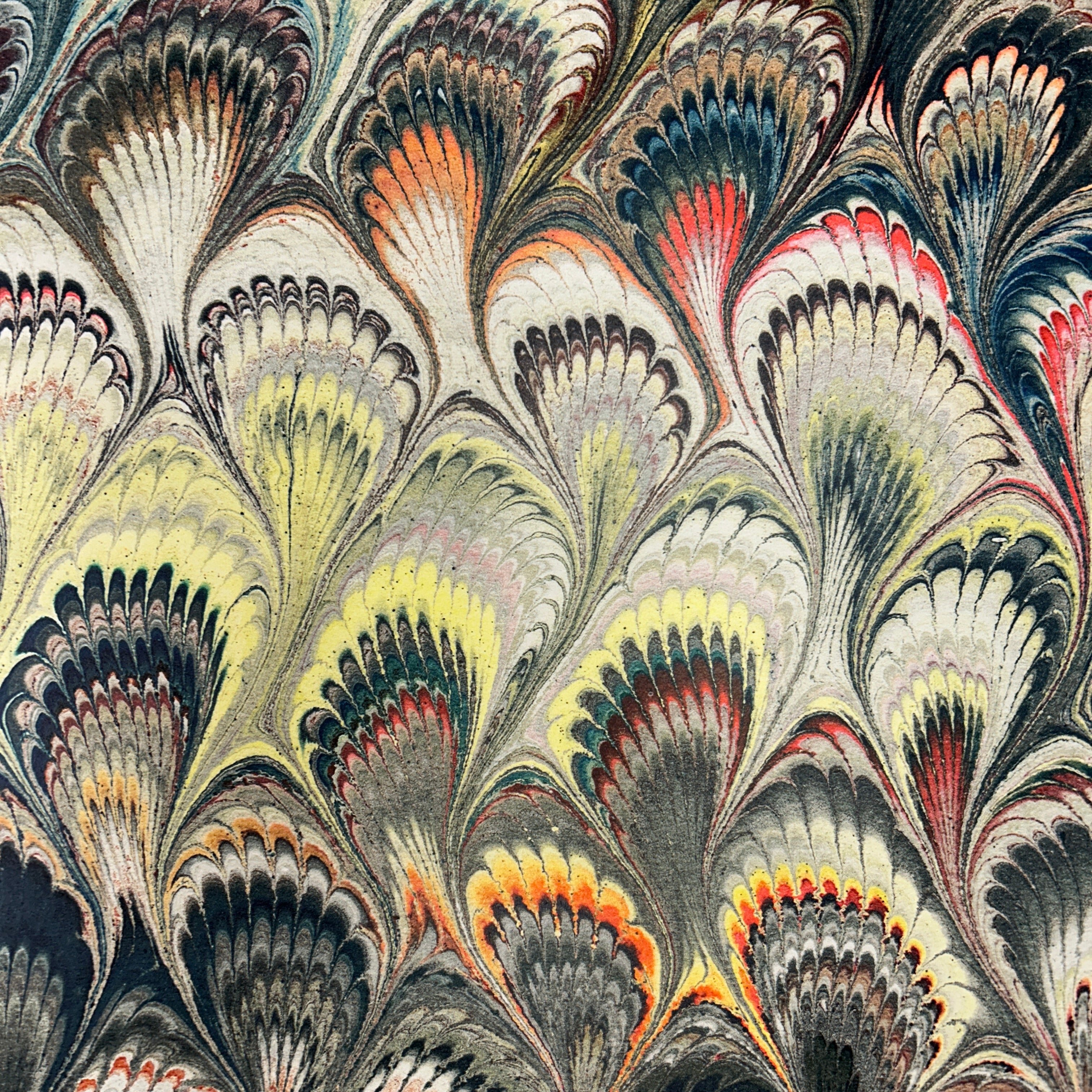 Beata Heuman Wallpaper