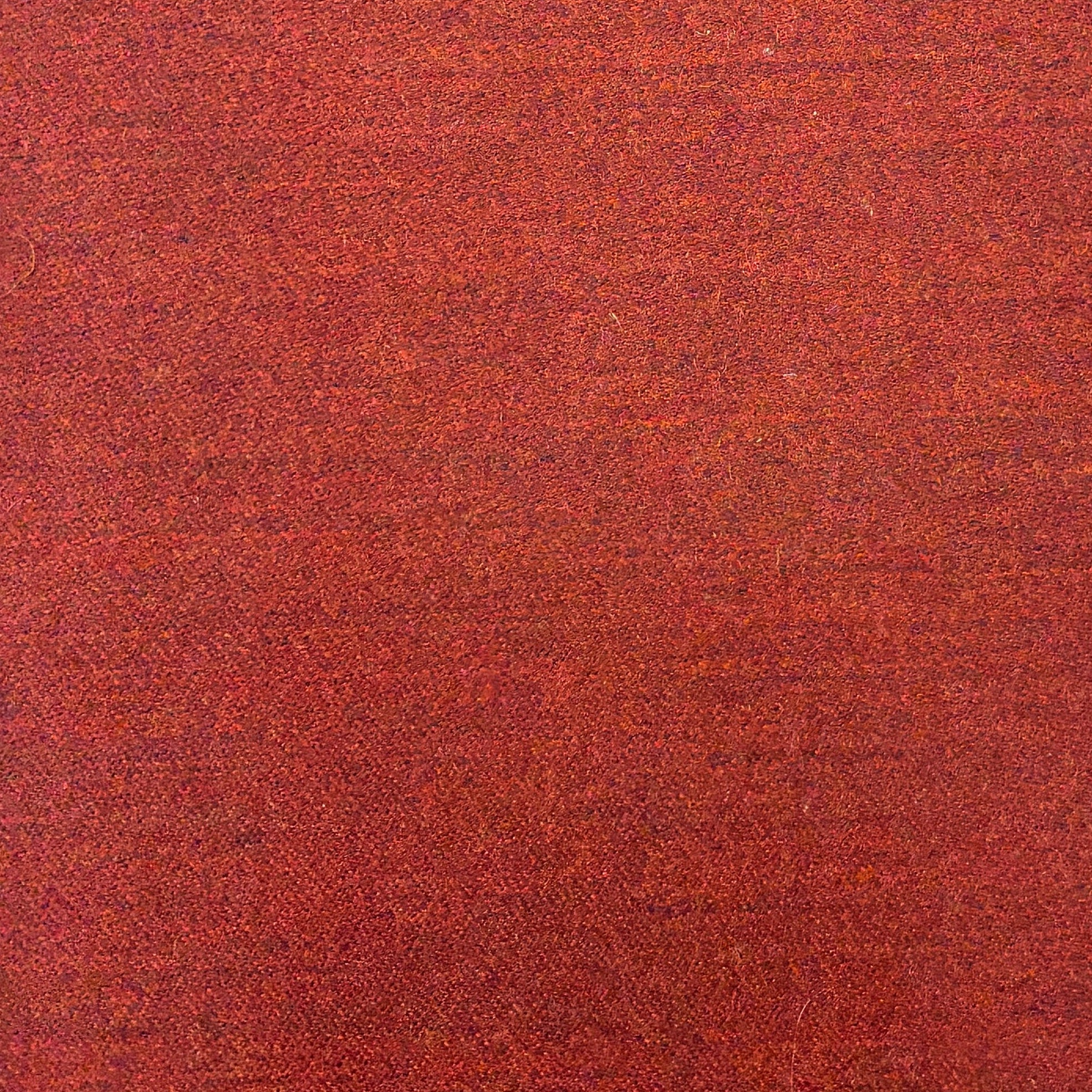 Decortex Firenze