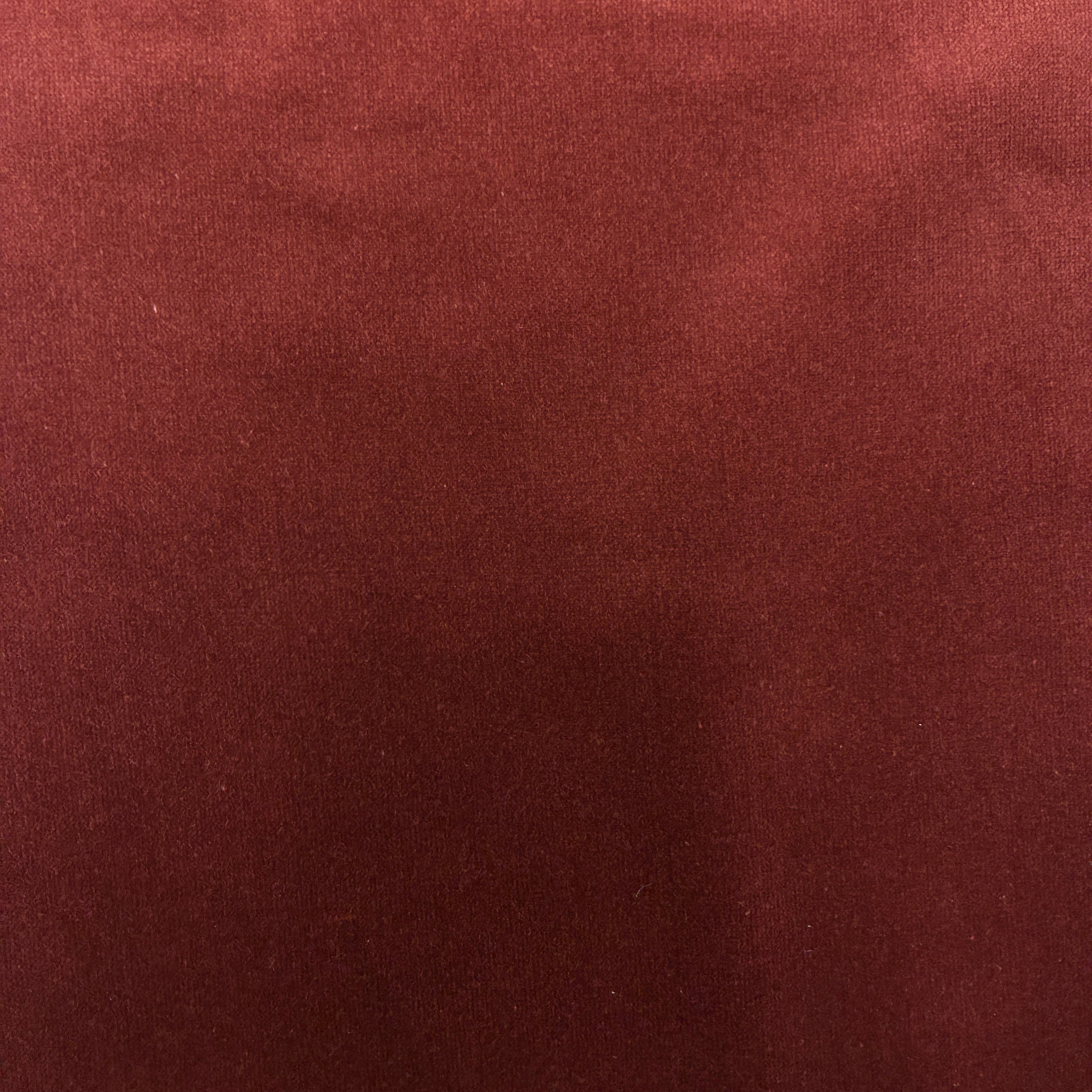 Plain Velvet