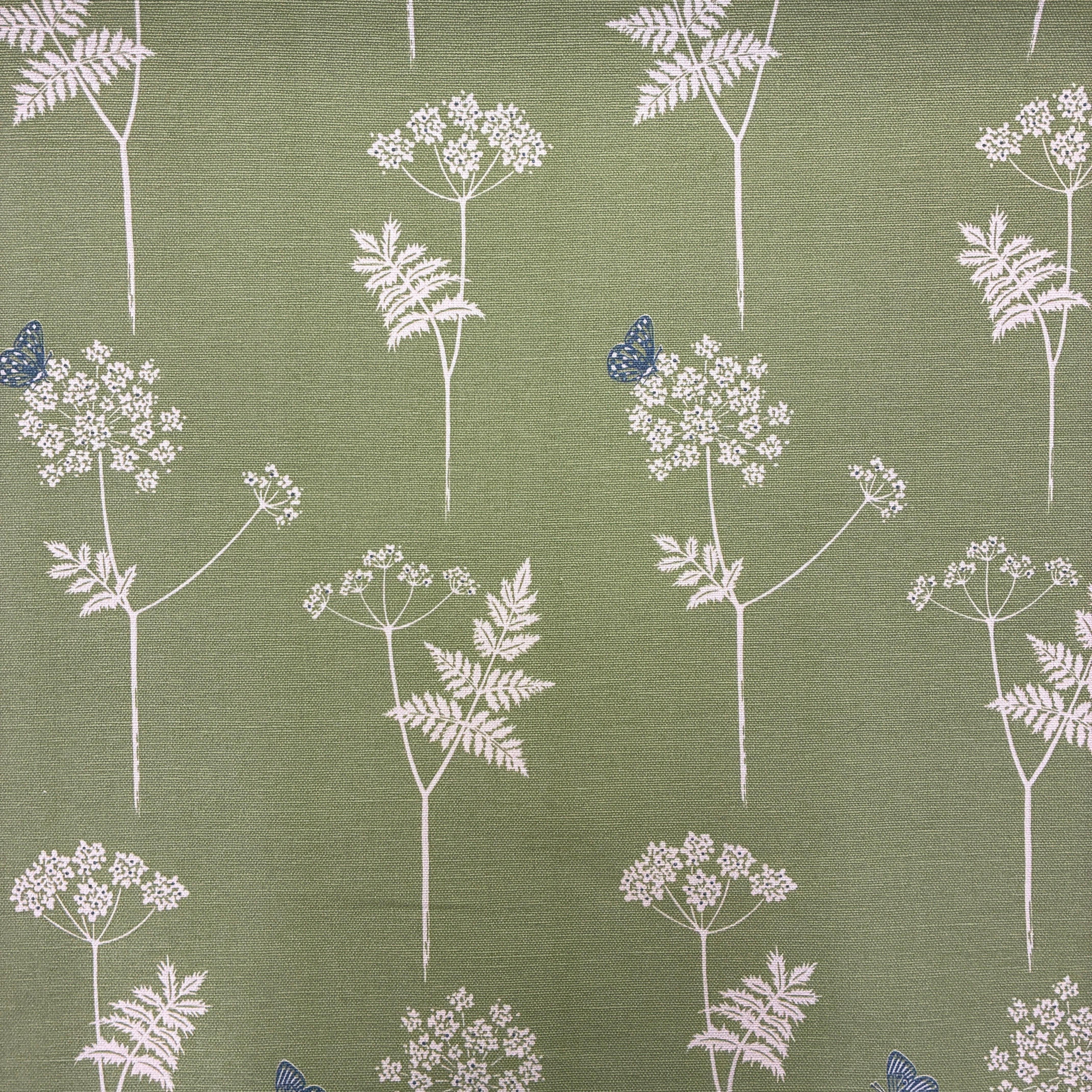 Vanessa Arbuthnott