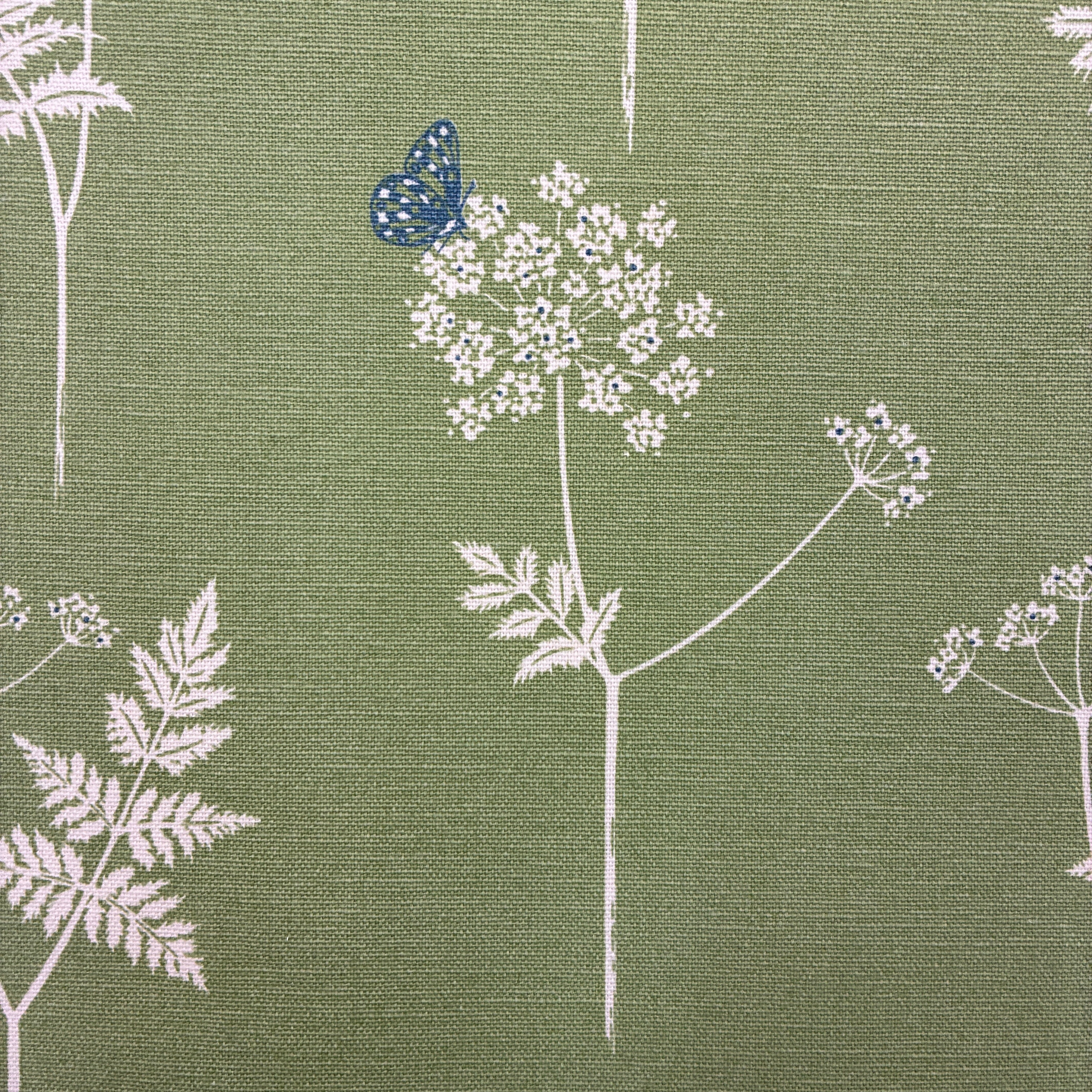 Vanessa Arbuthnott