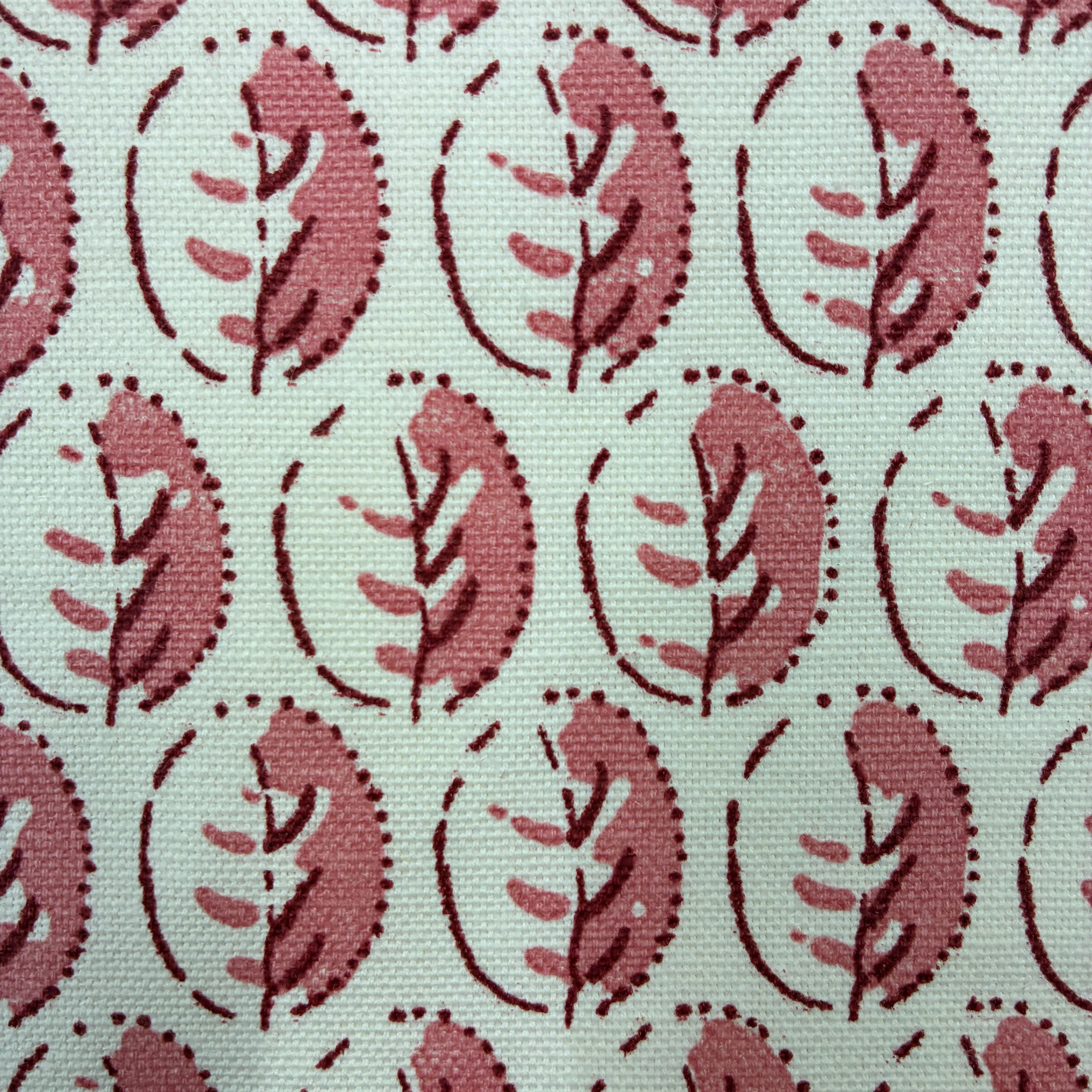 Vanessa Arbuthnott