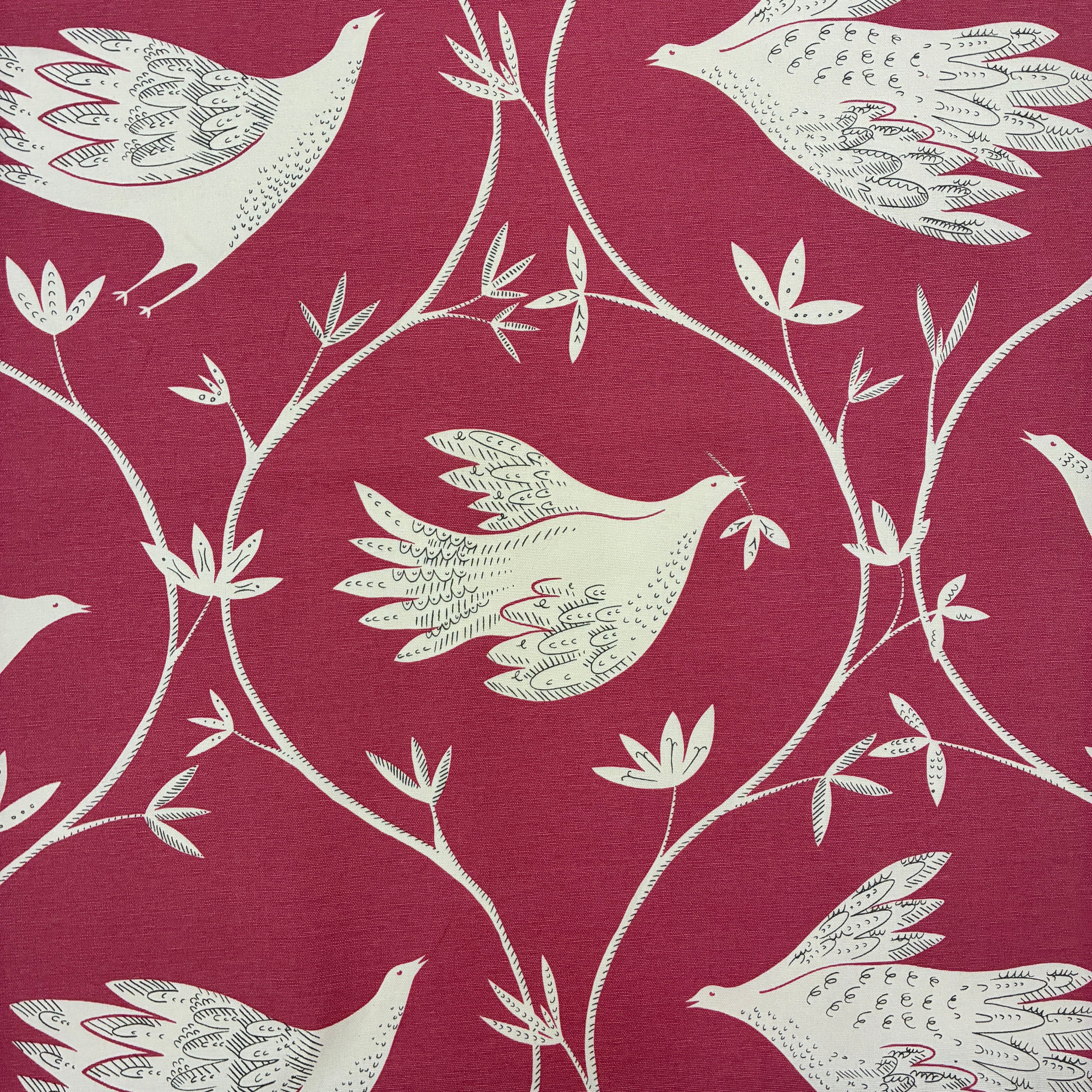 Vanessa Arbuthnott