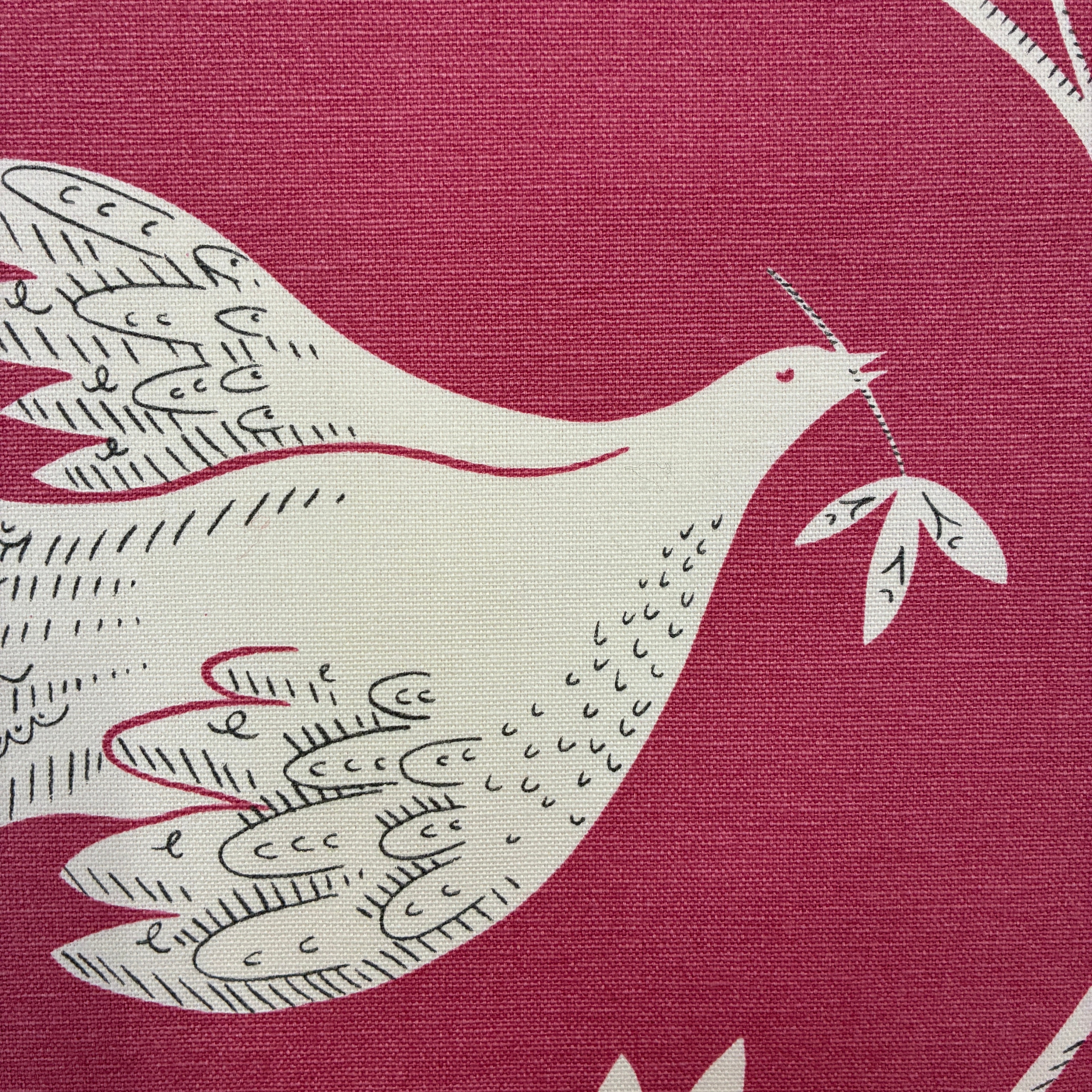 Vanessa Arbuthnott