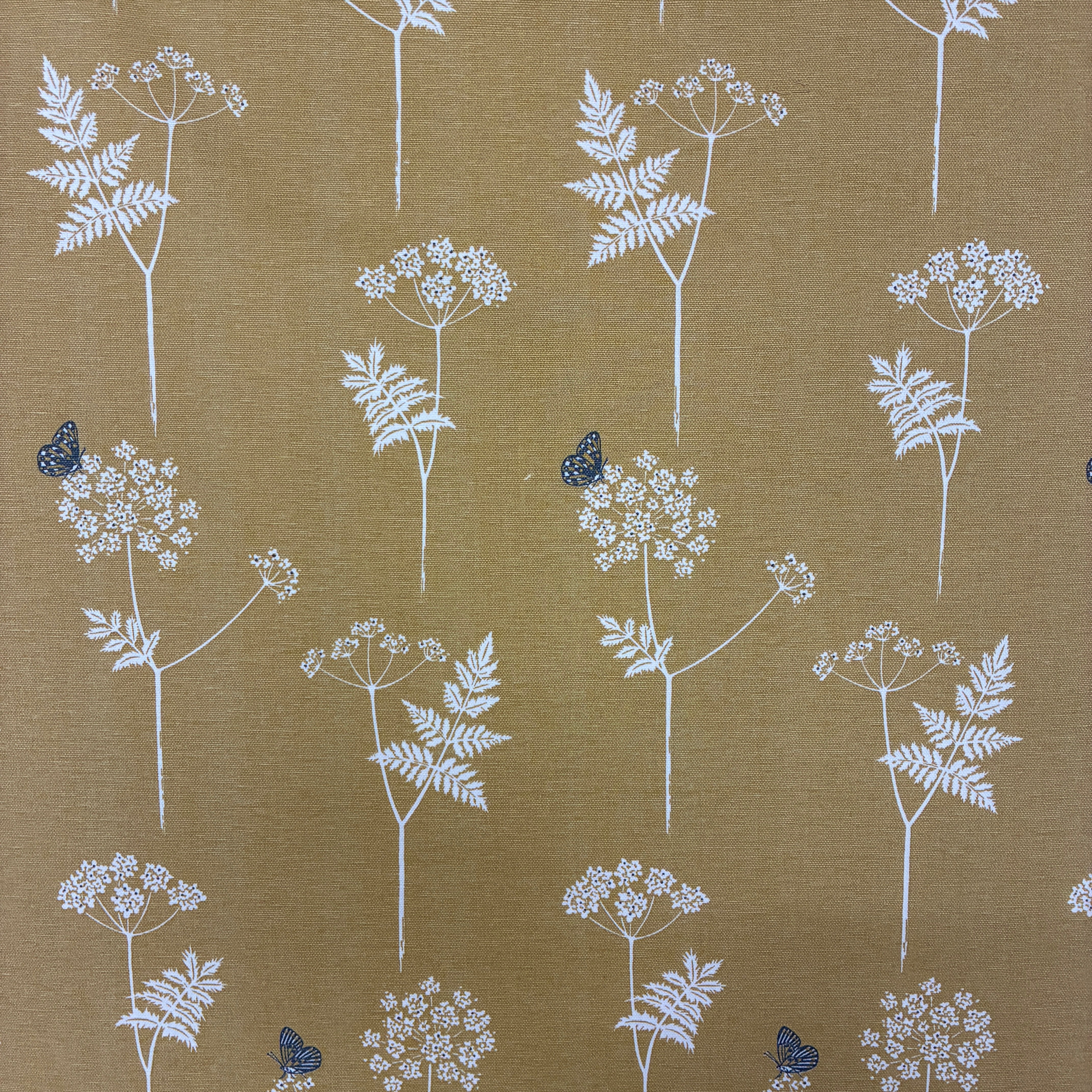 Vanessa Arbuthnott