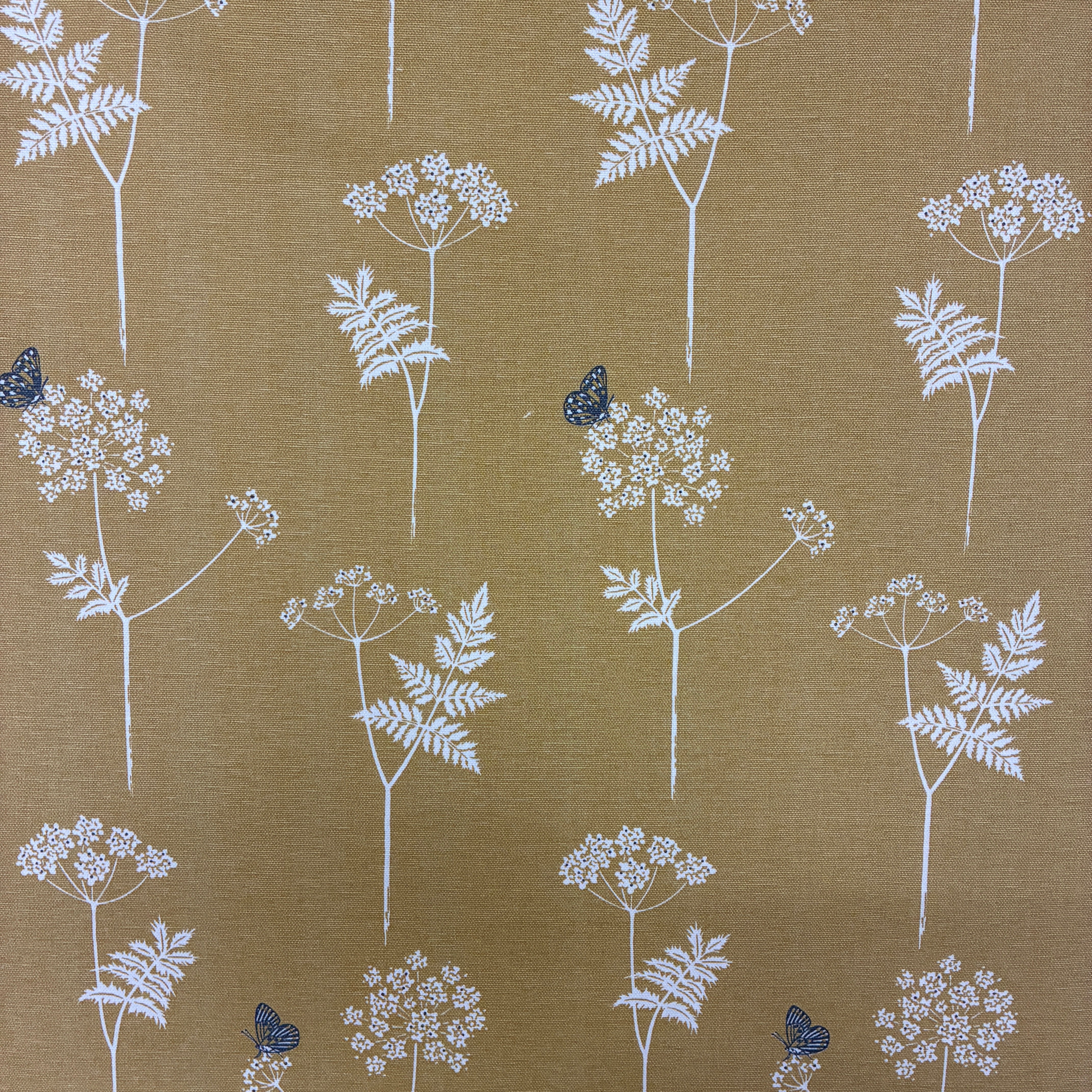 Vanessa Arbuthnott