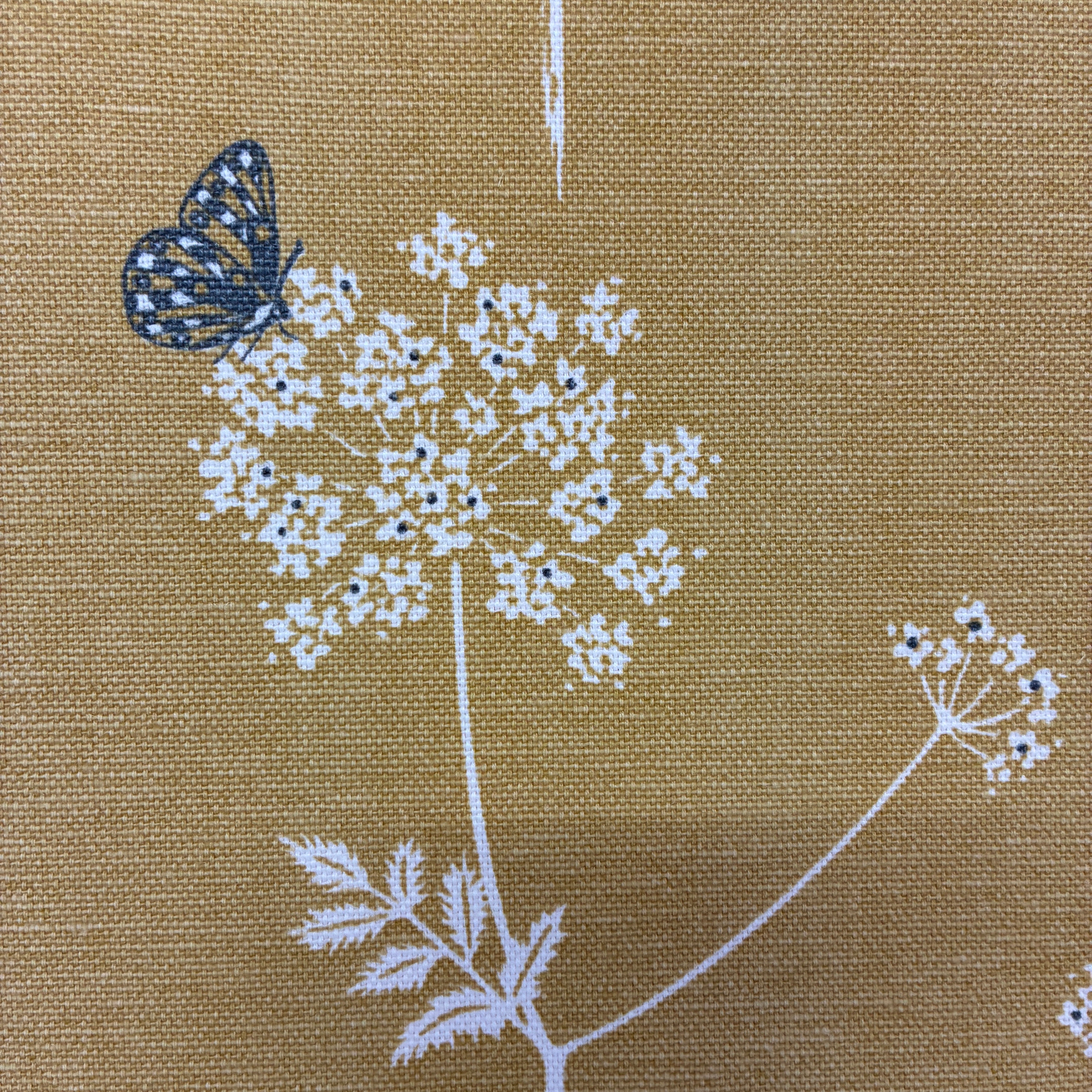 Vanessa Arbuthnott