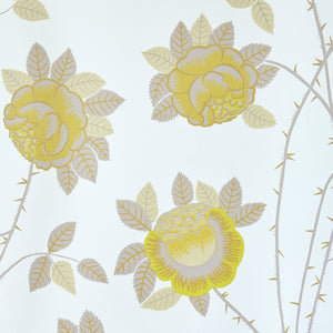 Neisha Crosland, Rose Wallpaper - Nimbus Yellow