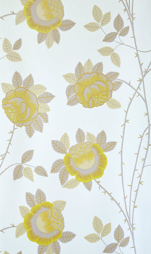 Neisha Crosland, Rose Wallpaper - Nimbus Yellow